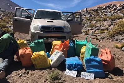 Incautaron media tonelada de marihuana en la puna salteña