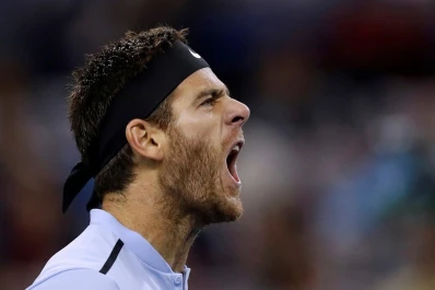 Del Potro finalizó su gran temporada a las puertas del top ten