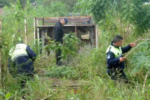 A seis meses de la desaparición, investigadores siguen tres pistas sobre el caso Daiana Garnica