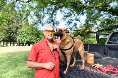 Sin correas, sin gritos y sin maltratos: las claves para adiestrar a un perro