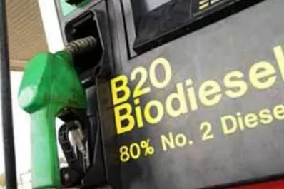 Estados Unidos confirmó la suba de aranceles para el biodiésel argentino