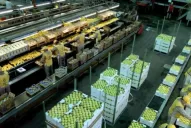 “La competitividad es un problema a resolver”