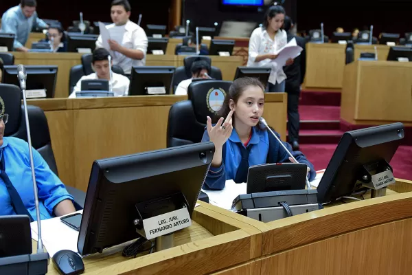 Los estudiantes, en el rol de legisladores, reclamaron boleto gratuito para el interior