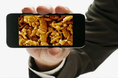 Mantener limpia la cocina es clave para la salud: por qué hay que tener lejos al celular