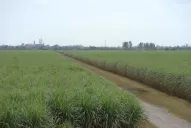 El diálogo aplacará la disputa por el bioetanol