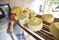 Quesos tafinistos: René y la alquimia que lo llevó hasta Tecnópolis