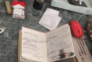 La joven habría tenido planeado cortarle los órganos genitales a su amante