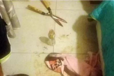 Imputaron a la joven que hirió los genitales del amante