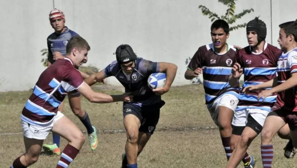 EXITISMO. La obsesión por ganar es el drama principal del rugby juvenil. elmiradordiario.com.ar