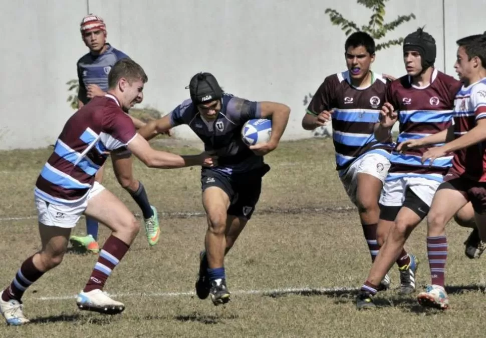 EXITISMO. La obsesión por ganar es el drama principal del rugby juvenil. elmiradordiario.com.ar
