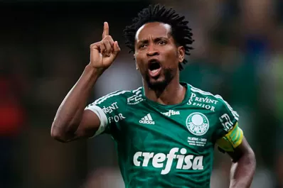 Video: mirá la emotiva arenga de Zé Roberto antes de jugar su último partido