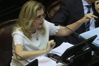 Alperovich votó por pedido de Manzur; Elías, por “convicción”