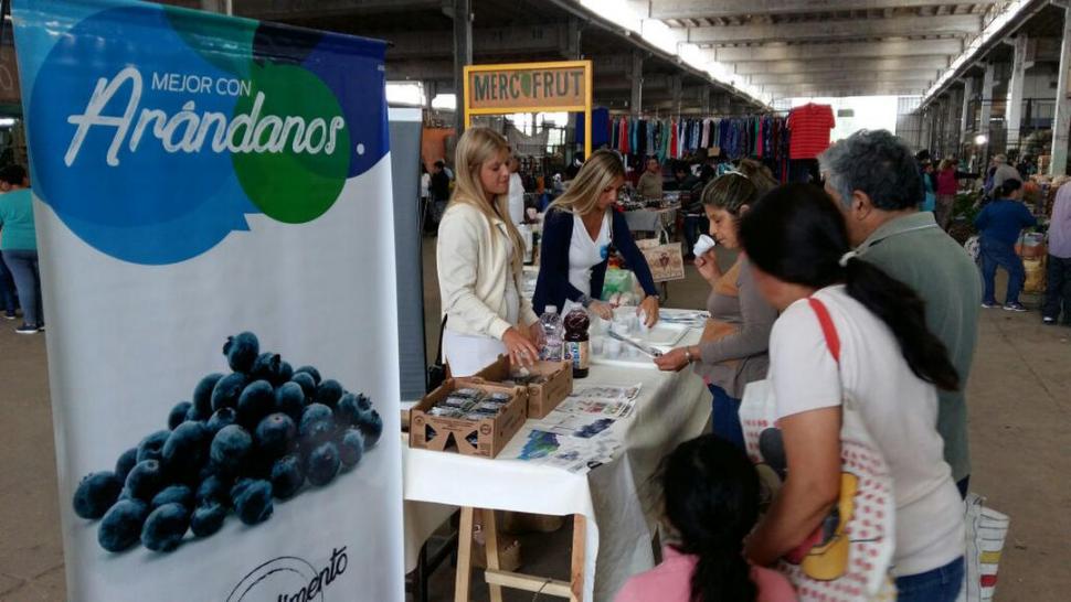 VIDA SANA. Se fomenta el consumo de berries en el mercado interno. .