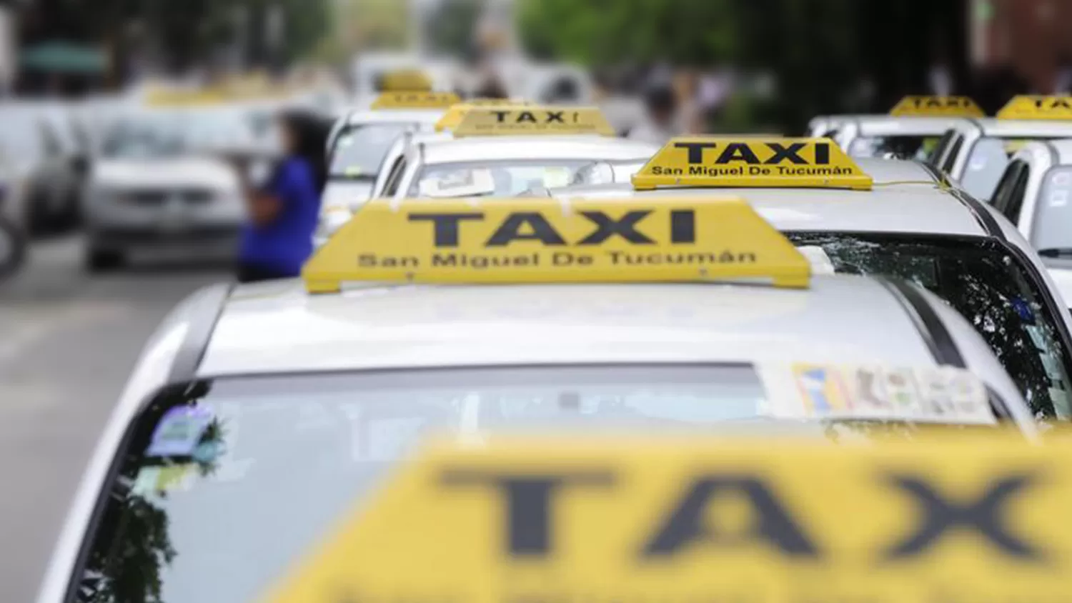 Taxiar: la única empresa de taxis con autos 100% climatizados