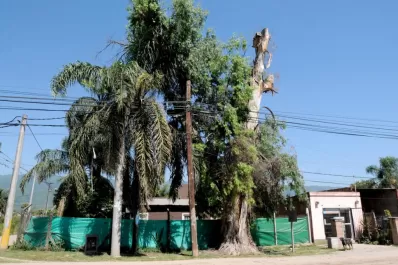 En Yerba Buena, sigue el temor por la caída de árboles