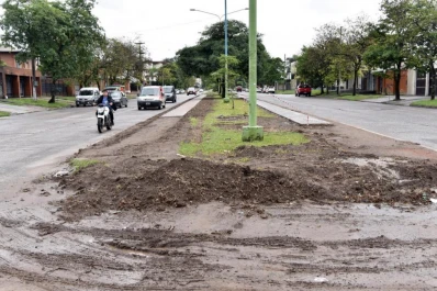 Las plazas y parques quedaron cortos: las platabandas se convierten en espacios verdes