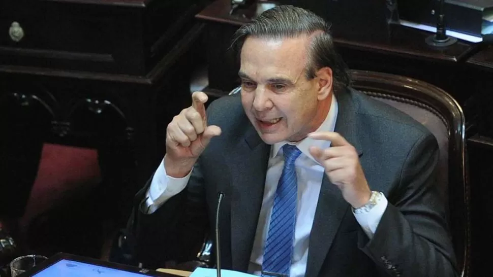 El senador peronista Miguel Ángel Pichetto. TÉLAM