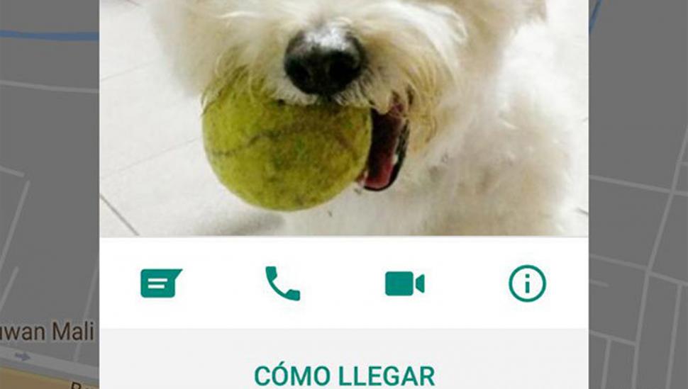 Ubicación en tiempo real
