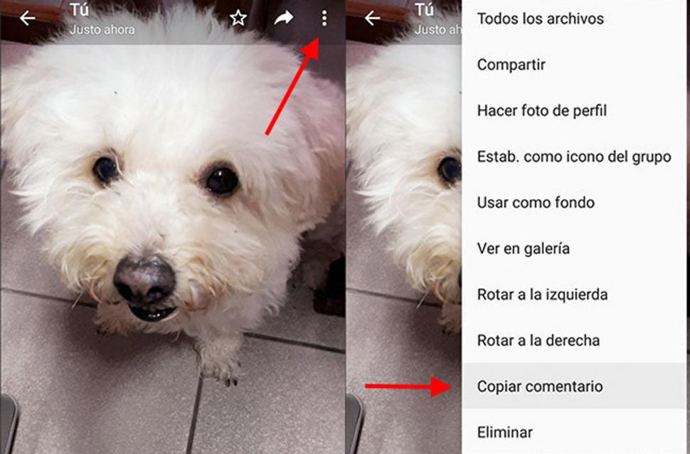 Copiar el comentario de una foto