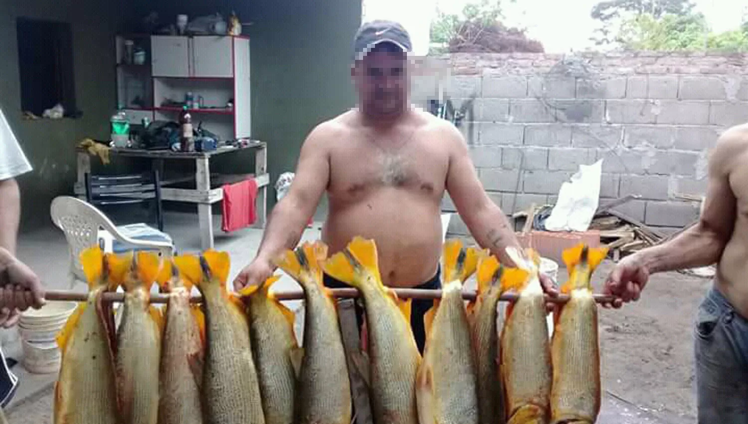UN CRIMEN. Un pescador muestra todos los dorados que sacrificó en una salida, pese a que está prohibido hacerlo.