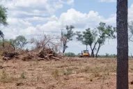 Hay que atender los efectos al cambiar el uso del suelo