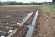 El tipo de cultivo y campo