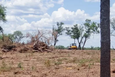 Hay que atender los efectos al cambiar el uso del suelo