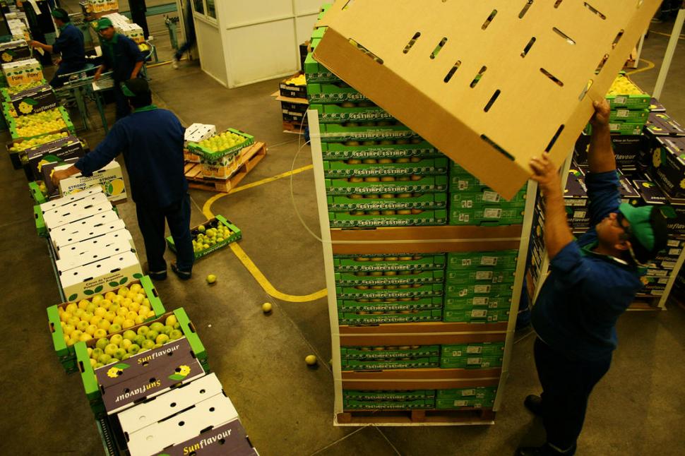 CONTROL. Los limones que se exportan no pueden tener plaguicidas. 