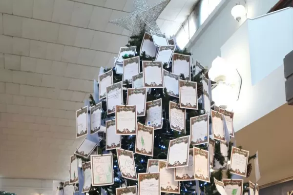 Mirá los insólitos deseos de navidad que dejaron los tucumanos en el arbolito