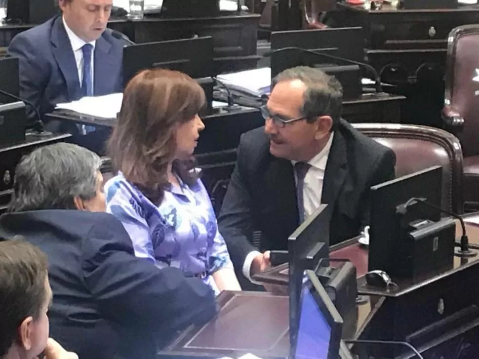 UN BREAK EN LA SESIÓN. El ex gobernador Alperovich se acercó en pleno debate a conversar con la ex presidenta Cristina Fernández de Kirchner. .