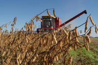 La pérdida de rentabilidad sigue golpeando al campo