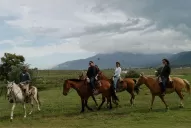 Cabalgatas y paseos en bici para disfrutar del aire libre