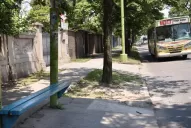 Cinco noticias que tenés que saber durante la mañana