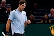Juan Martín del Potro está en el puesto 10 del ranking ATP