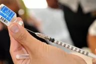 Alerta para viajeros por la fiebre amarilla en San Pablo