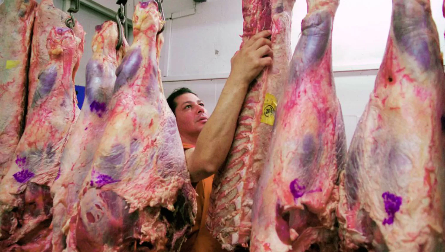 Argentina aprobó los protocolos sanitarios que permitirán ampliar las exportaciones de carne con hueso vacuna y ovina. ARCHIVO