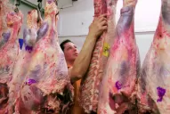 China aprobó el ingreso de todas las carnes desde Argentina: por qué es un hecho histórico