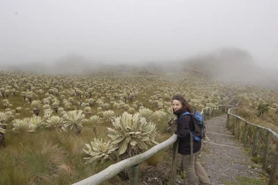 “A valorar el aporte de la naturaleza a la gente”