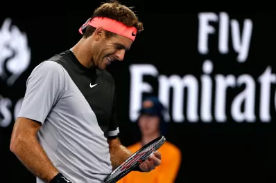 Del Potro no pudo con Berdych y se despidió del Abierto de Australia