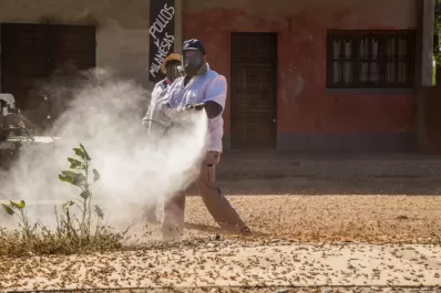 Aúnan esfuerzos para luchar contra las langostas