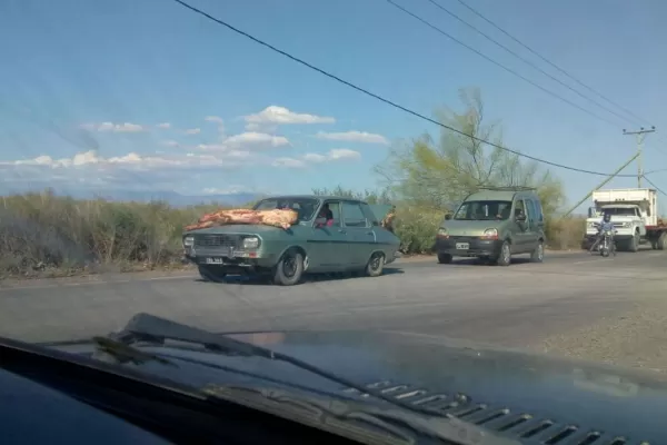 Volcó un camión frigorífico y la gente se llevó la carne en el capot de los autos