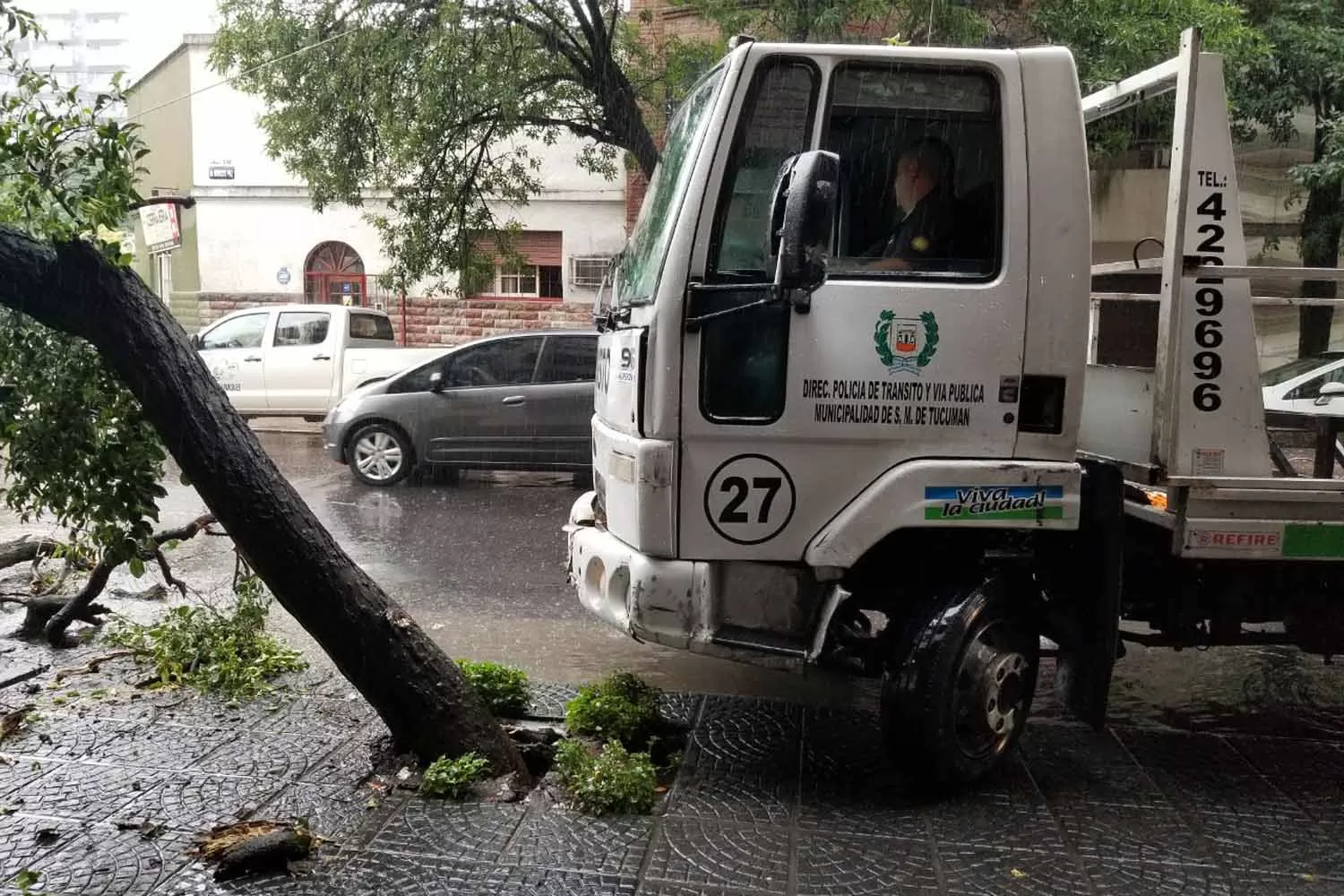 Un camión de Tránsito se subió a una vereda y destrozó un árbol