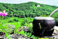 Millas de viajero: promueven la ruta de la Yerba Mate