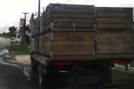 Secuestran cerca de siete toneladas de limón en Tafí Viejo