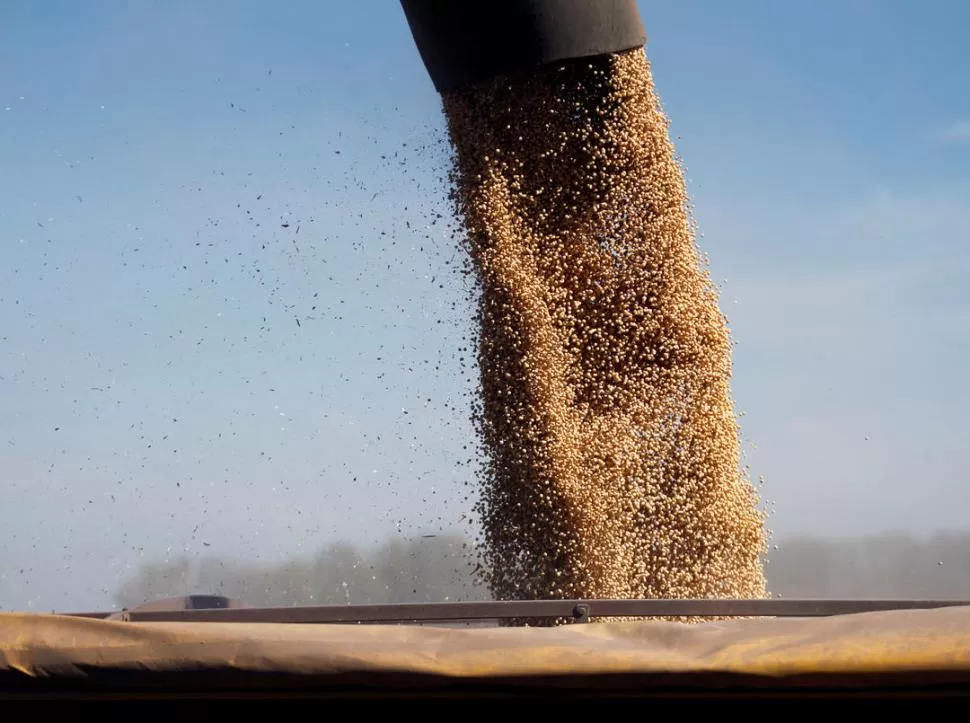 LOS MÁS DINÁMICOS. Los granos y cereales obtuvieron los superávit más altos de la balanza comercial. REUTERS (archivo)