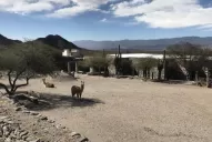 Inauguran el museo de las Ruinas de Quilmes