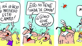 DESCONFORME
