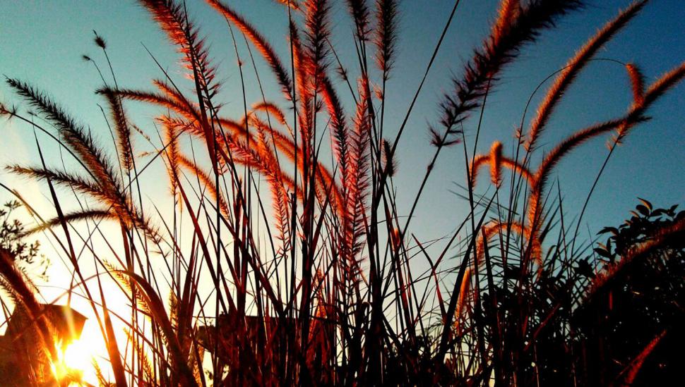Arranca el fin de semana largo, vuelve el sol y se espera un día de mucho (pero mucho) calor