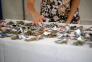 La inversión en el programa viviendas será de $ 50.000 millones