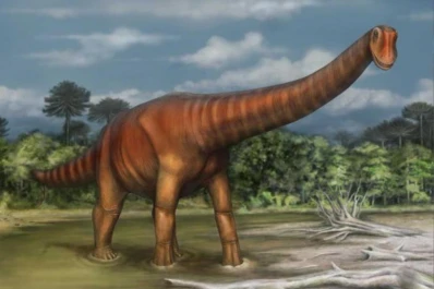 Exponen desde hoy en Neuquén el Choconsaurus baileywillisi